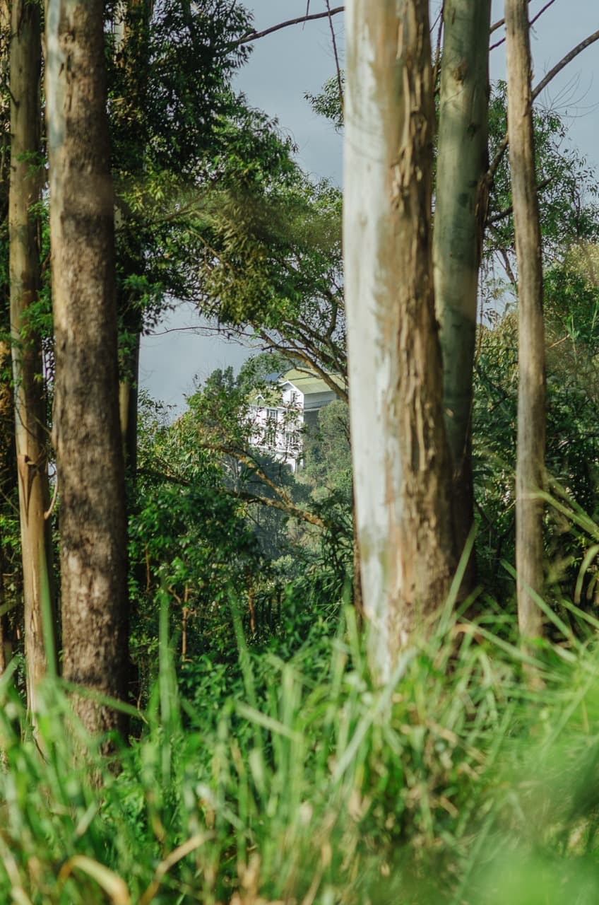 Превью Sri Lanka 2022